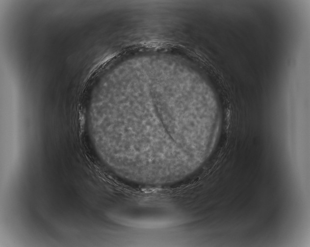 X0000103321302200810060946