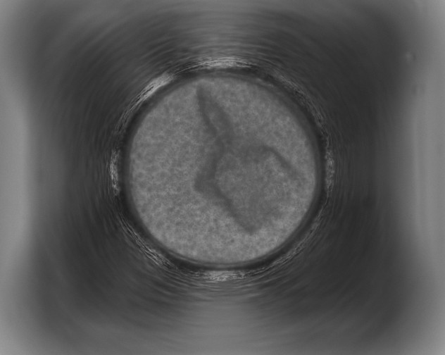 X0000103321305200810060946