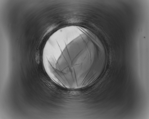 X0000103321306200810060946