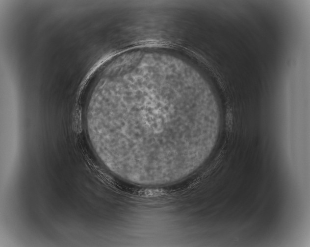 X0000103321310200810060947