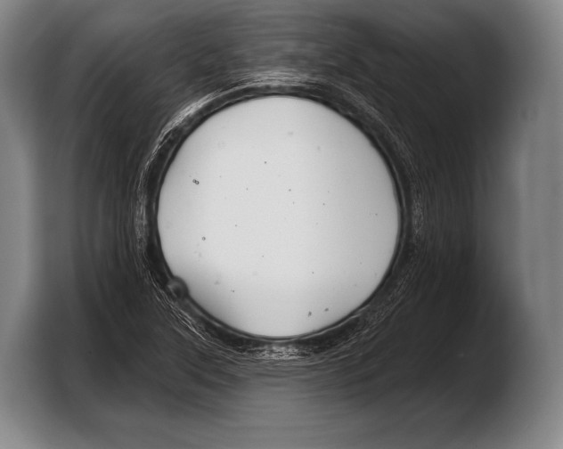 X0000103321315200810060947