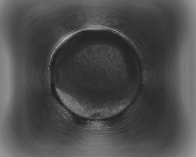 X0000103321319200810060947