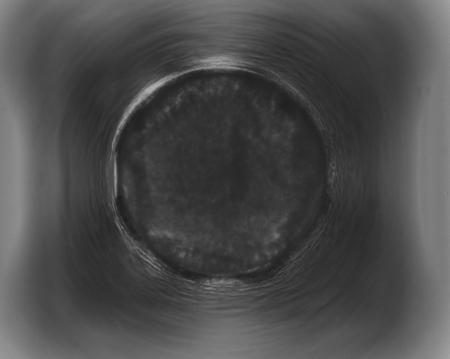 X0000103321323200810060947