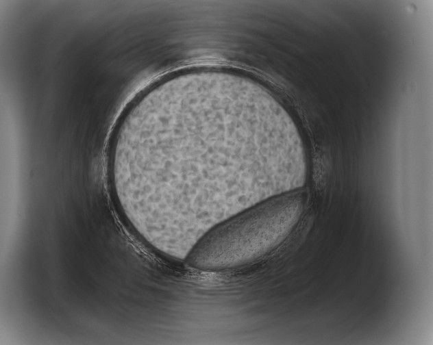 X0000103321326200810060947