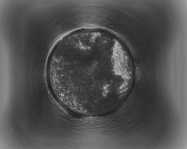 X0000103321327200810060947