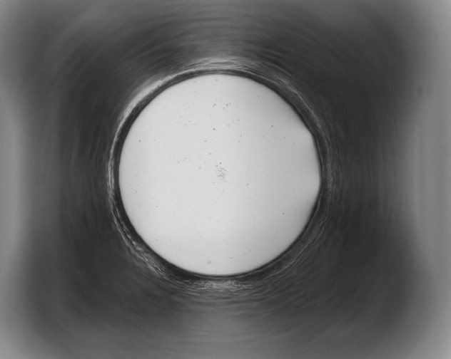 X0000103321328200810060947