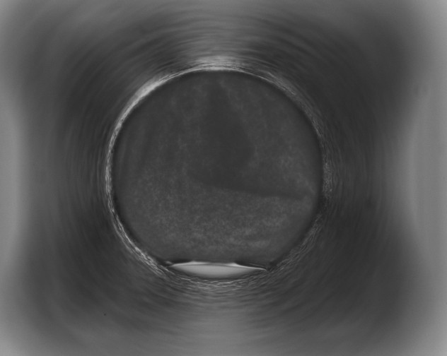 X0000103321331200810060947