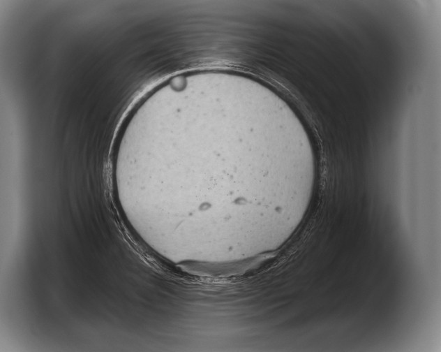 X0000103321332200810060947