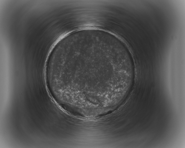 X0000103321333200810060947