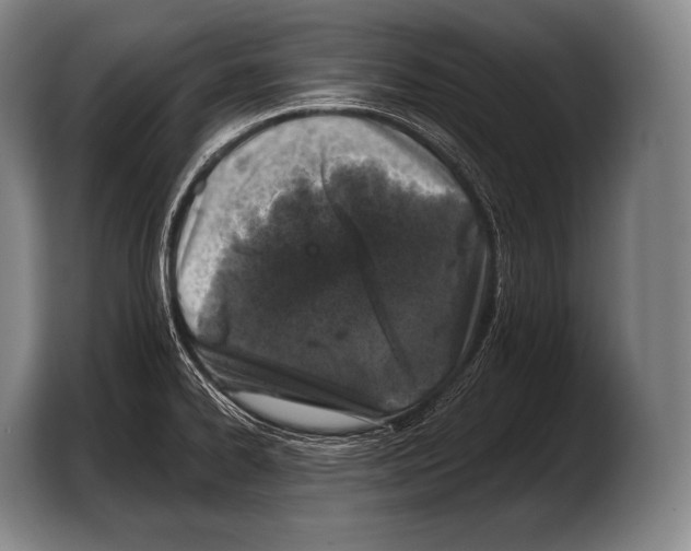 X0000103321334200810060947