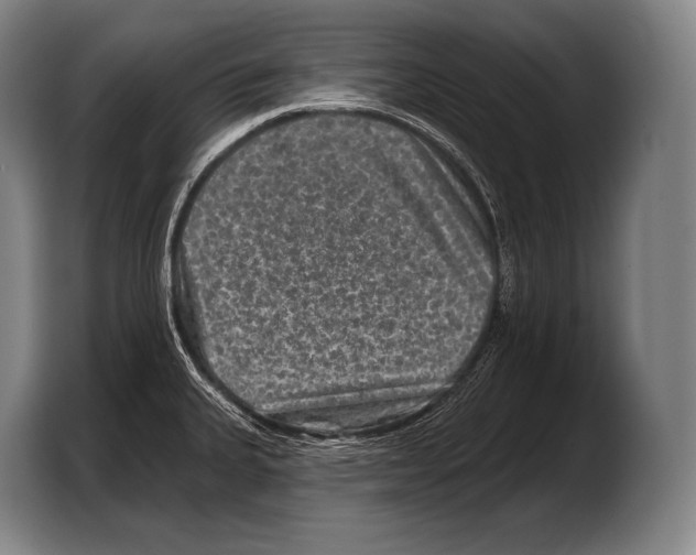 X0000103321335200810060947