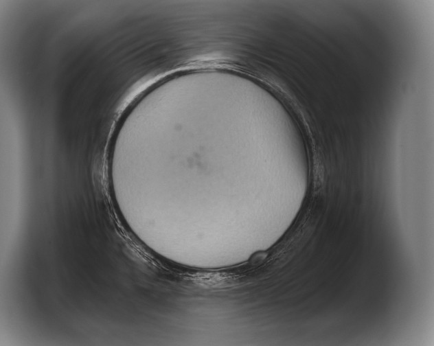 X0000103321336200810060947