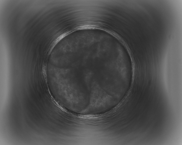 X0000103321337200810060947