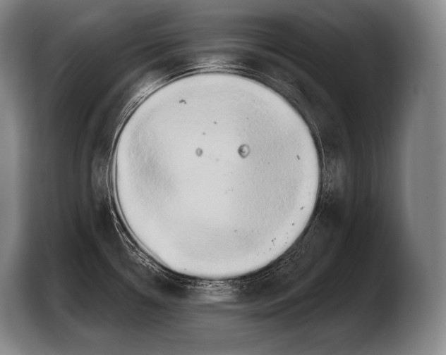 X0000103321338200810060947