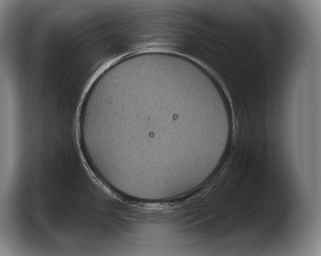 X0000103321341200810060947