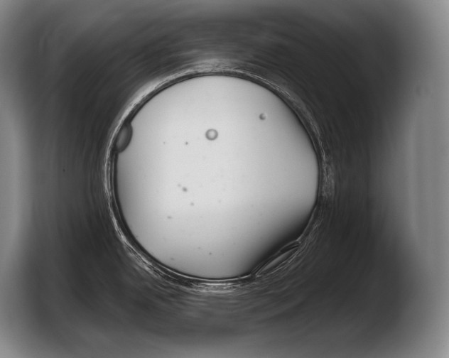 X0000103321342200810060947