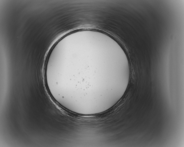 X0000103321343200810060947