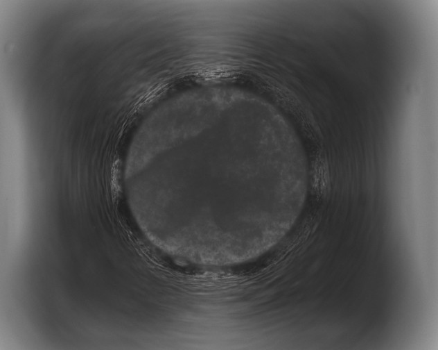 X0000103321346200810060946