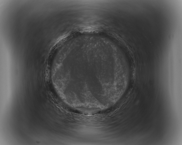 X0000103321350200810060946