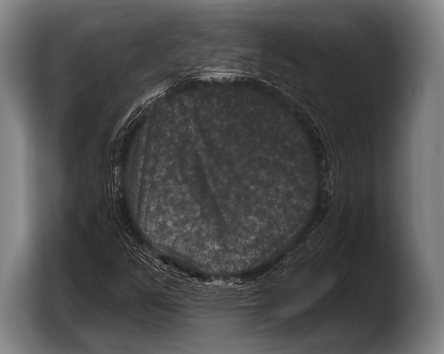 X0000103321351200810060946