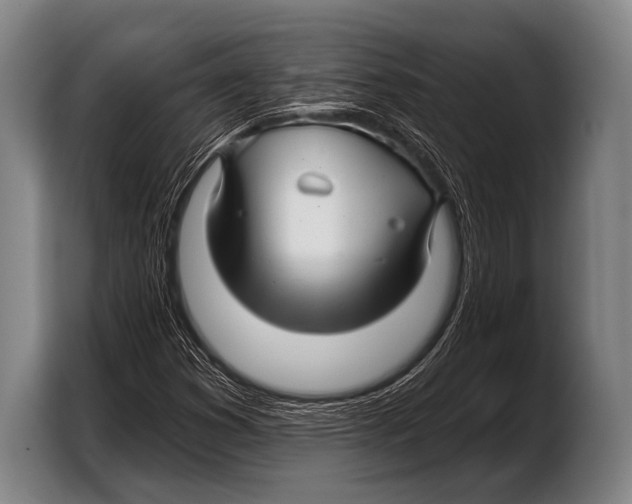 X0000103321353200810060946