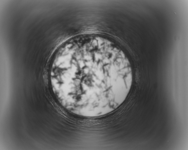 X0000103321356200810060946