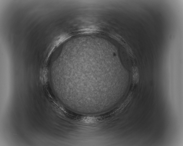 X0000103321357200810060946