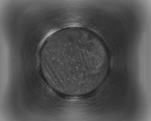 X0000103321359200810060946