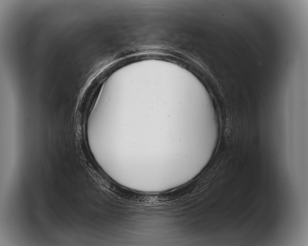 X0000103321360200810060946