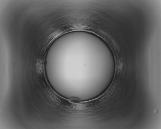 X0000103321361200810060946