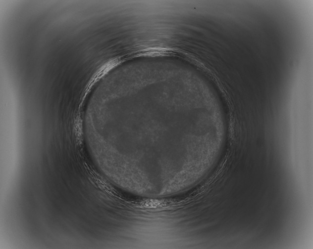 X0000103321362200810060946