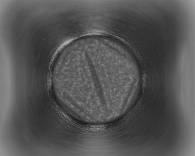 X0000103321363200810060946