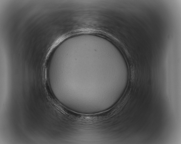 X0000103321365200810060946