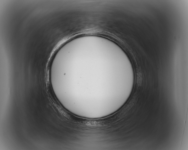 X0000103321366200810060946