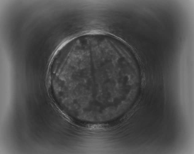 X0000103321367200810060946