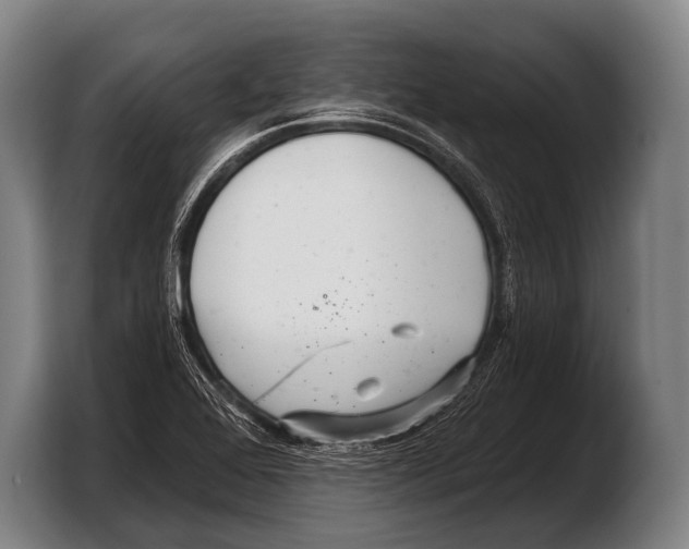 X0000103321368200810060946