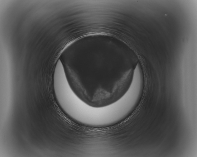 X0000103321369200810060946