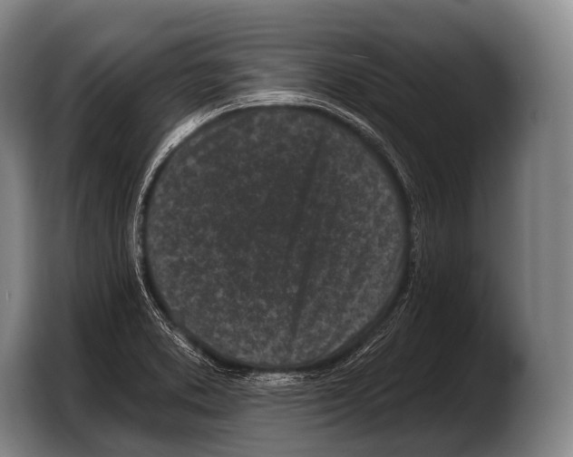 X0000103321373200810060946