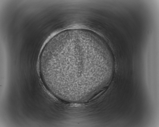 X0000103321374200810060946