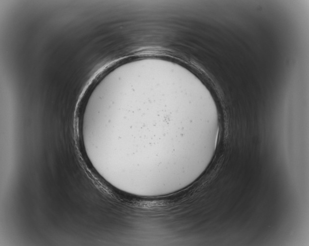 X0000103321376200810060946