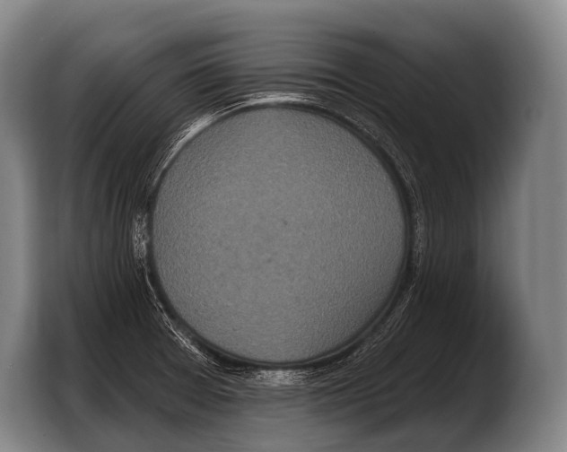 X0000103321377200810060946