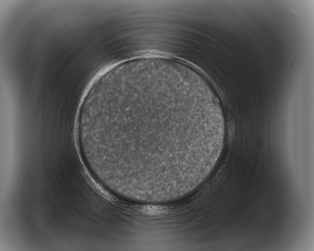 X0000103321379200810060946