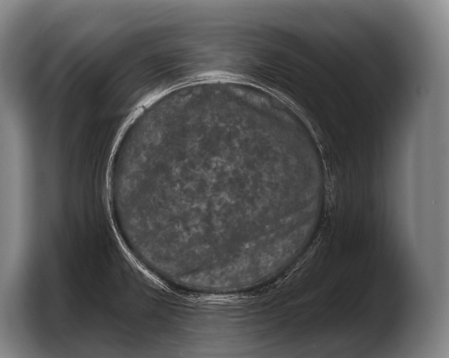 X0000103321381200810060946