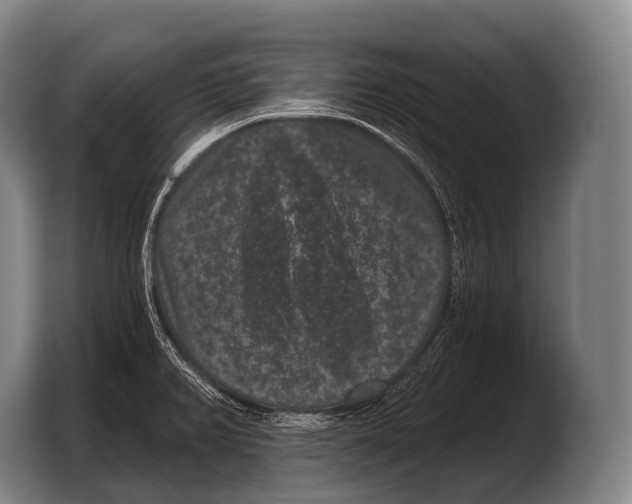 X0000103321382200810060946