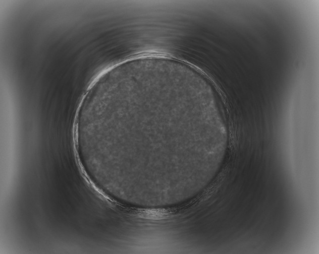 X0000103321383200810060946