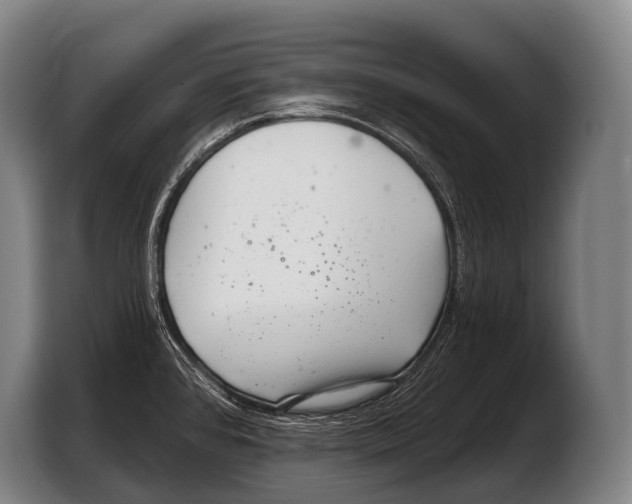 X0000103321384200810060946