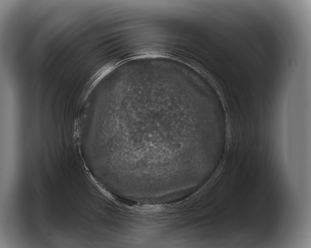 X0000103321385200810060946