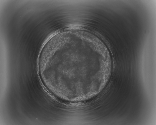 X0000103321386200810060946