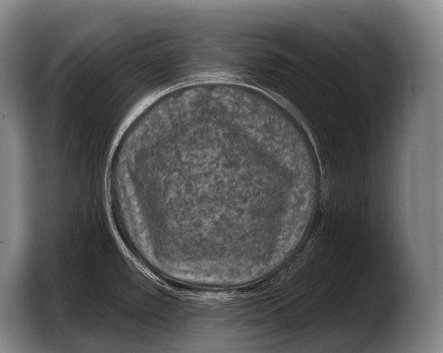 X0000103321389200810060946