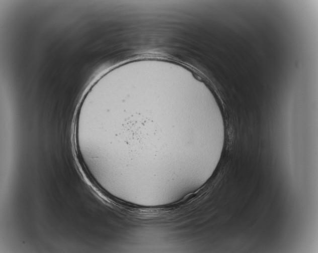 X0000103321391200810060946